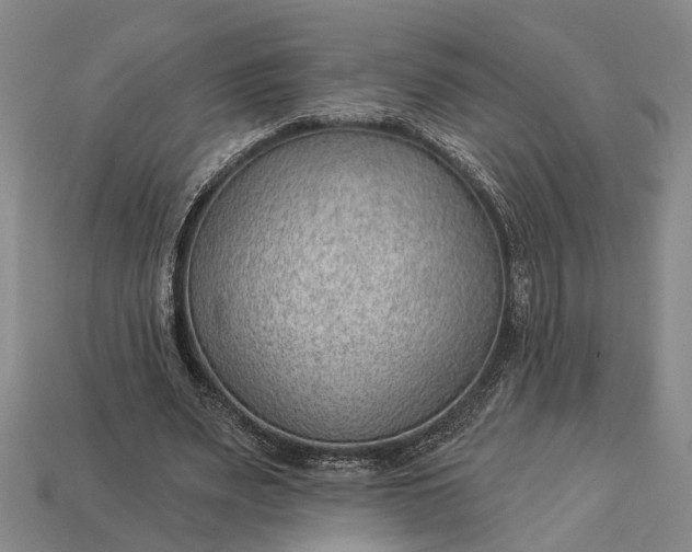 X0000112980487200909101717