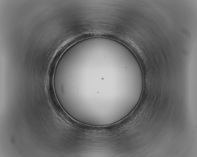 X0000112980488200909101717