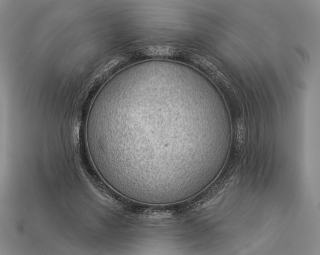 X0000112980491200909101717