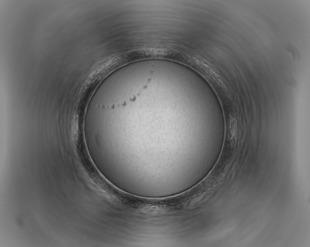 X0000112980494200909101717