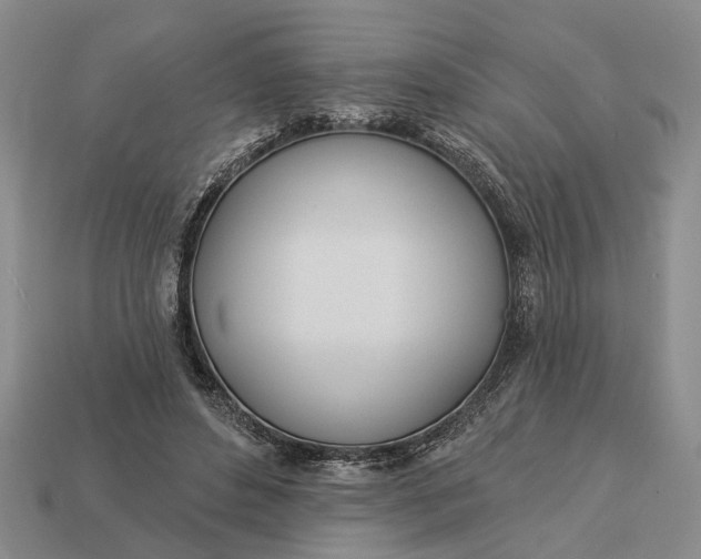 X0000112980496200909101717