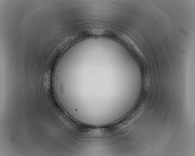 X0000112980497200909101717