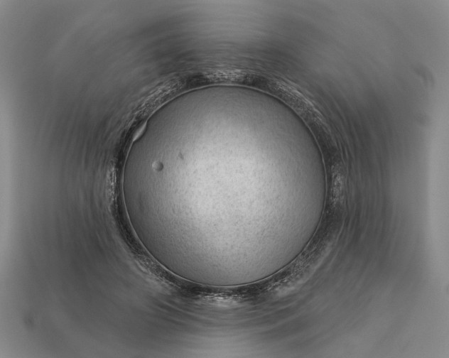 X0000112980498200909101717