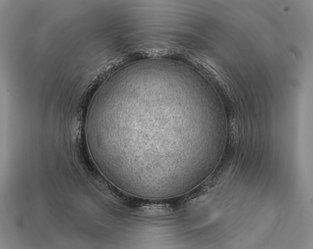 X0000112980499200909101717