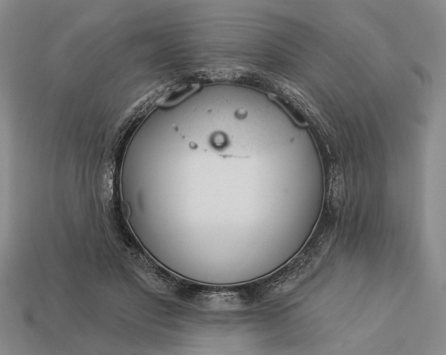 X0000112980501200909101717