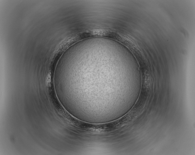 X0000112980502200909101717