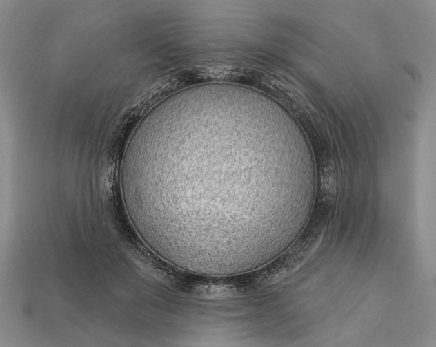 X0000112980503200909101717