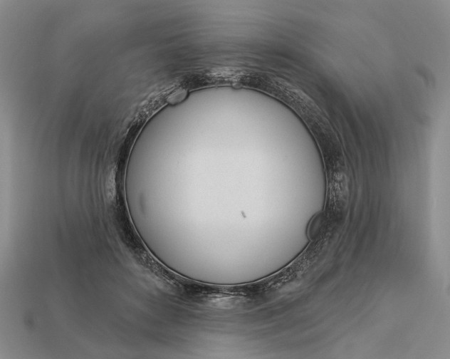 X0000112980504200909101717