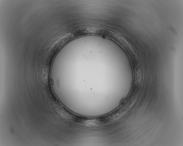 X0000112980505200909101717