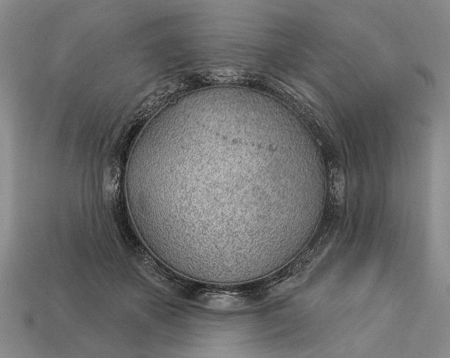 X0000112980507200909101717