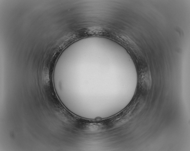 X0000112980508200909101717