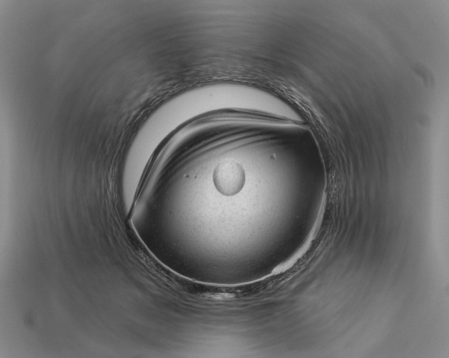 X0000112980509200909101717