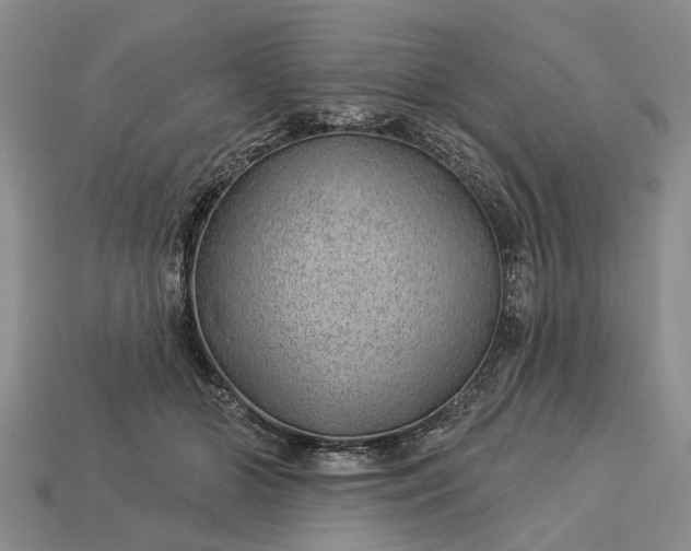 X0000112980510200909101717