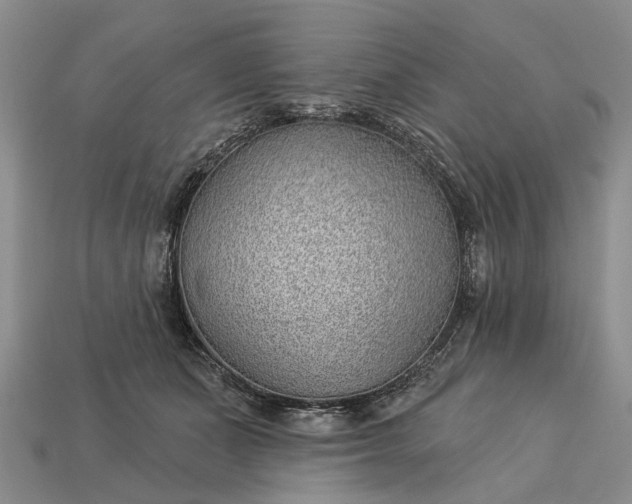 X0000112980511200909101717