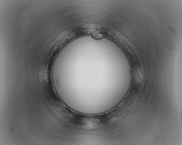 X0000112980512200909101717