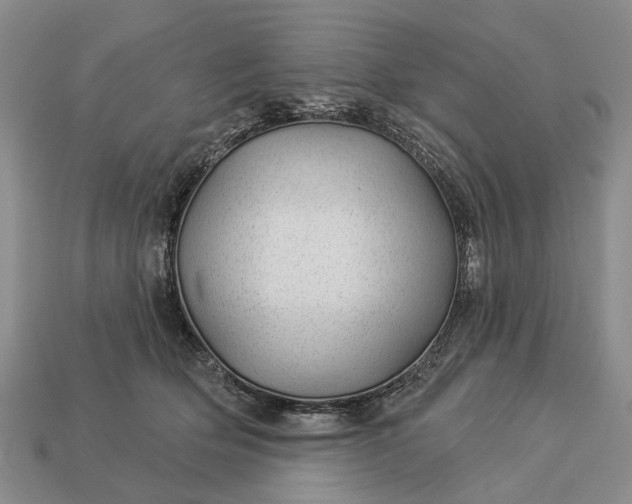 X0000112980514200909101717