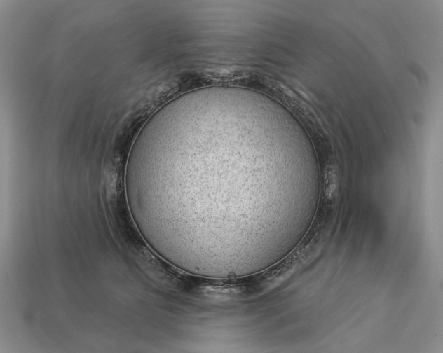 X0000112980515200909101717