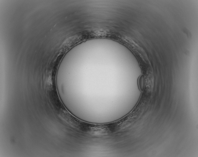 X0000112980516200909101717