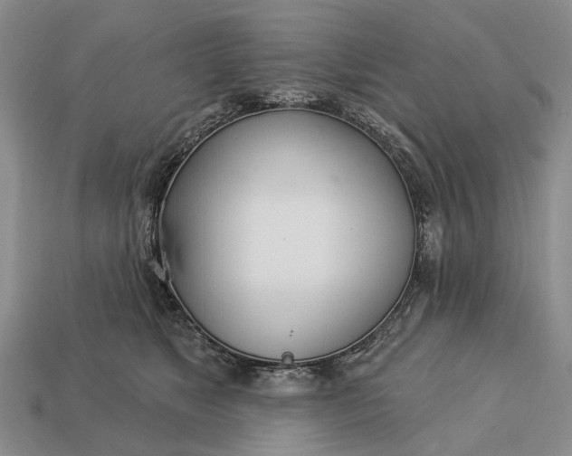 X0000112980517200909101717