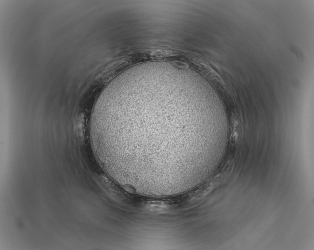 X0000112980519200909101717