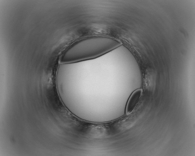 X0000112980520200909101717