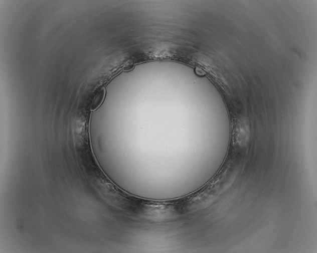 X0000112980521200909101717