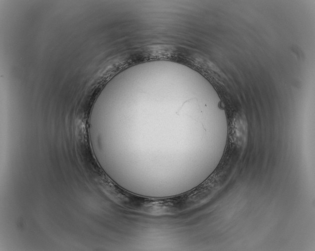 X0000112980522200909101717