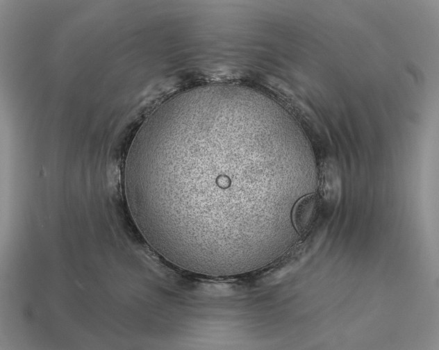 X0000112980523200909101717