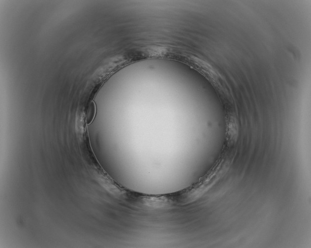 X0000112980525200909101717