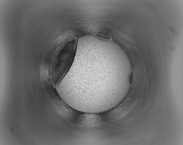 X0000112980528200909101717