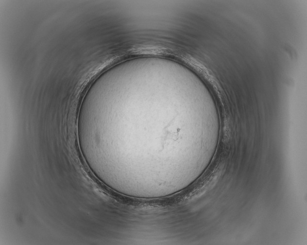 X0000112980529200909101716