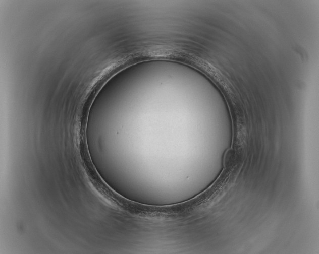 X0000112980530200909101716