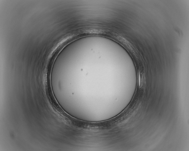 X0000112980531200909101716