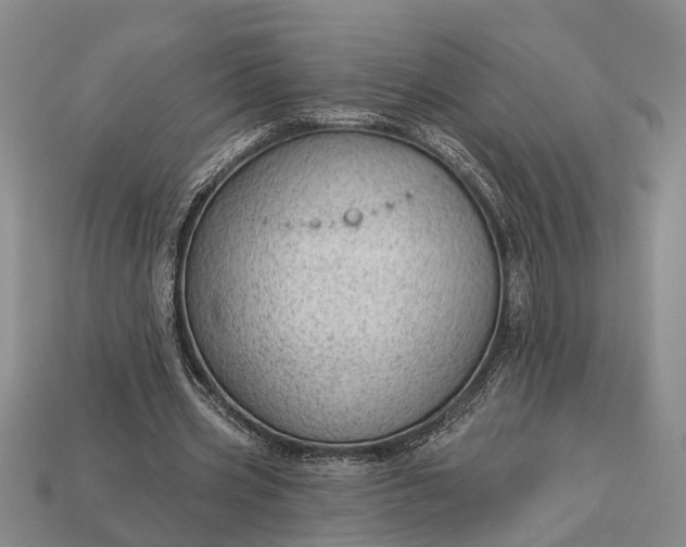 X0000112980533200909101716