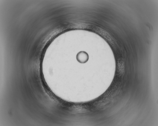 X0000112980534200909101716