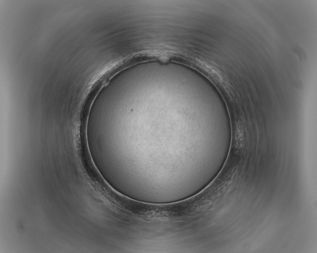 X0000112980535200909101716