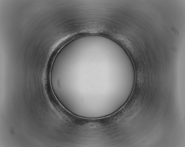 X0000112980536200909101716