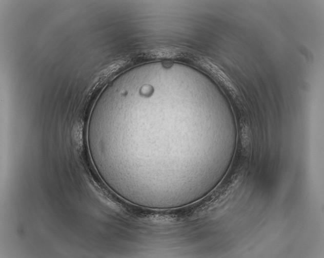 X0000112980537200909101716