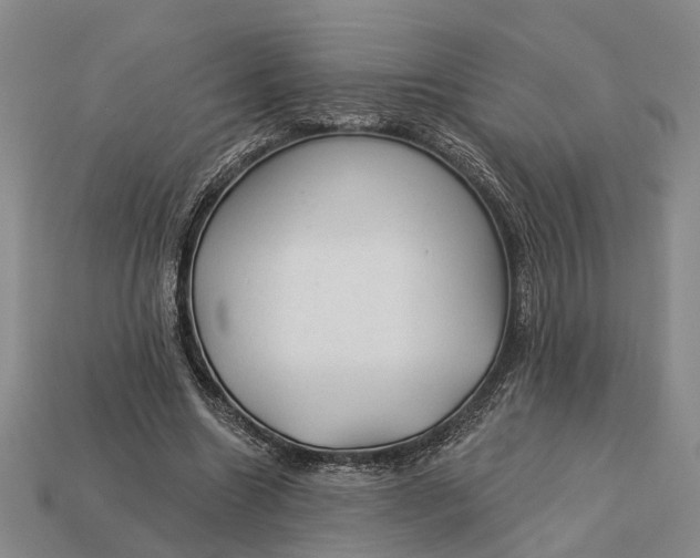 X0000112980538200909101716