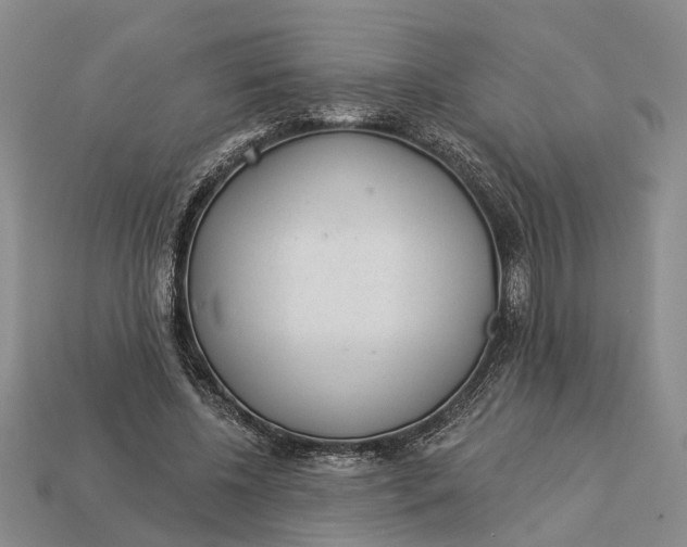 X0000112980540200909101716