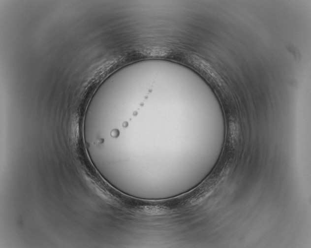 X0000112980541200909101716