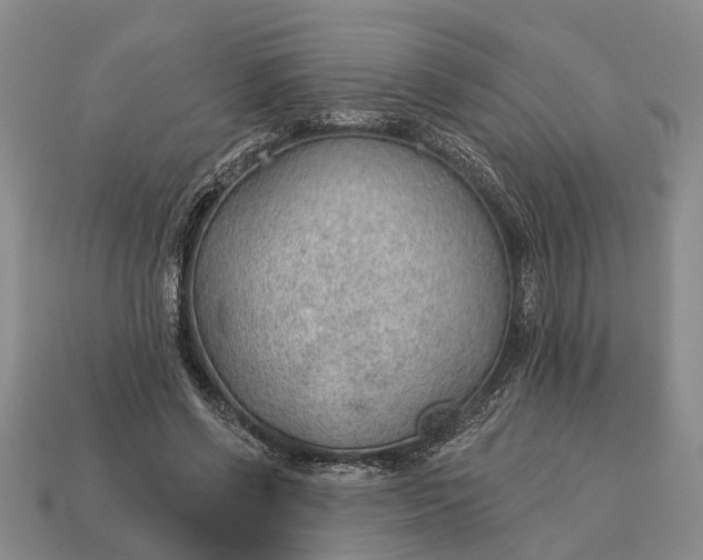 X0000112980542200909101716