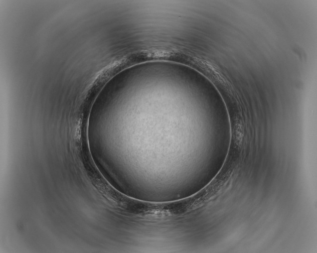 X0000112980543200909101716