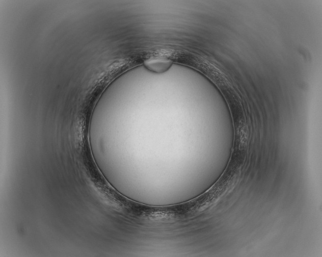 X0000112980546200909101716