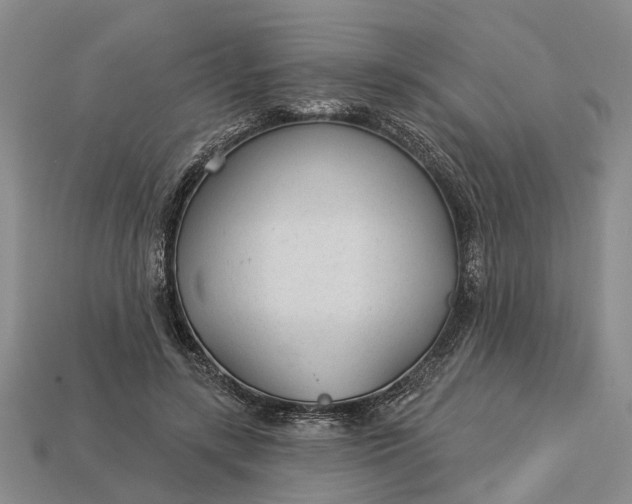 X0000112980547200909101716