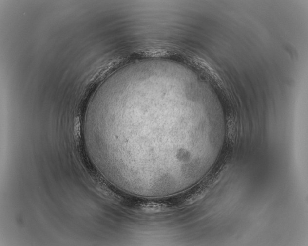 X0000112980549200909101716