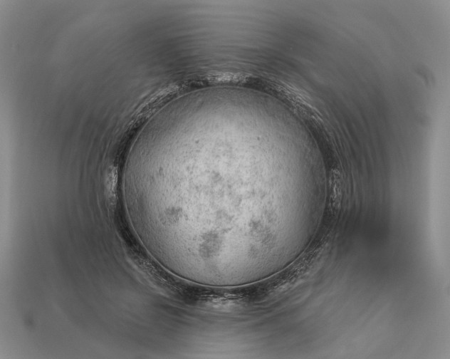 X0000112980550200909101716