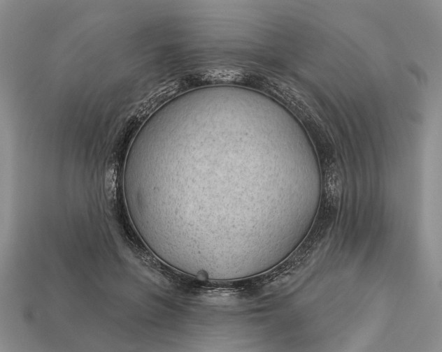 X0000112980551200909101716