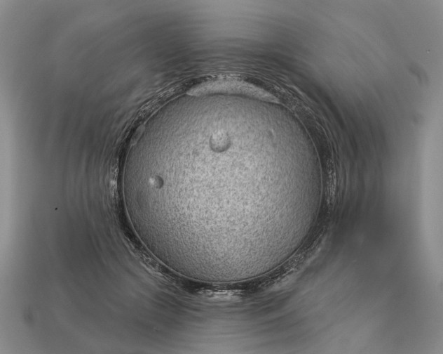 X0000112980553200909101716