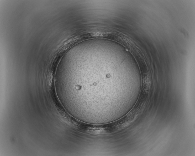 X0000112980554200909101716